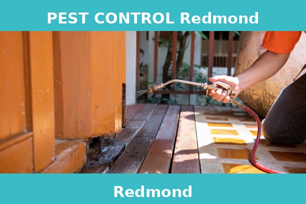 PEST CONTROL Redmond